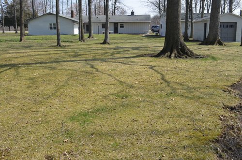 Property photo 39 - 3.4 Acres Offered in 2 Tracts - 3 Bedroom Ranch Home plus Additional Lot